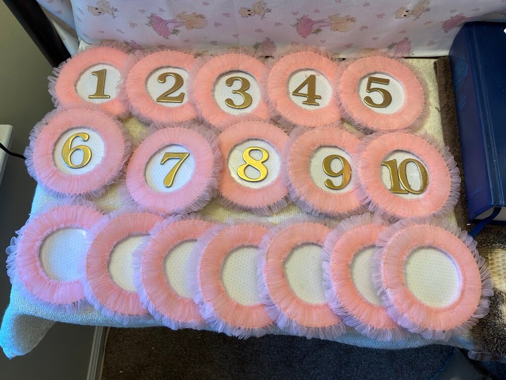 Tu Tu Table Numbers For Baby Or Other Type Of Party / Pink Stand Up